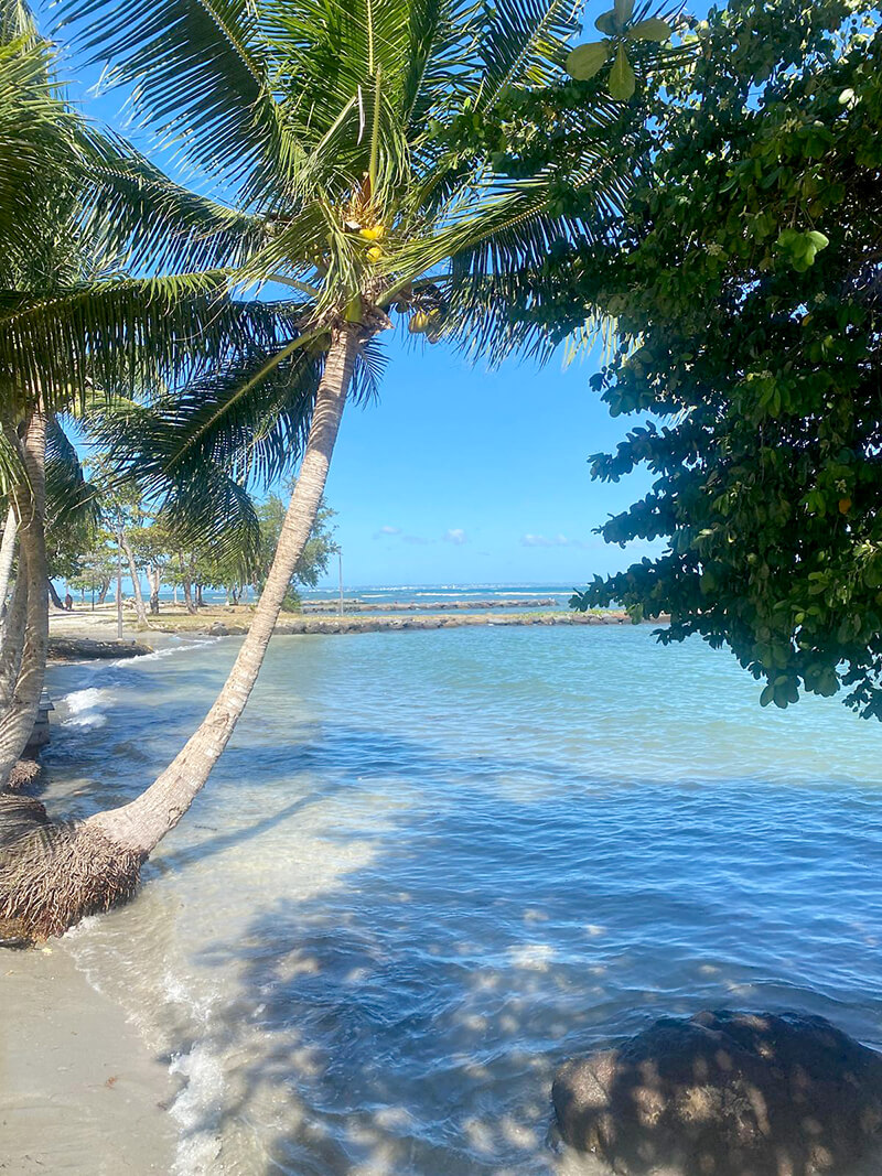 2026-voyage-guadeloupe-16