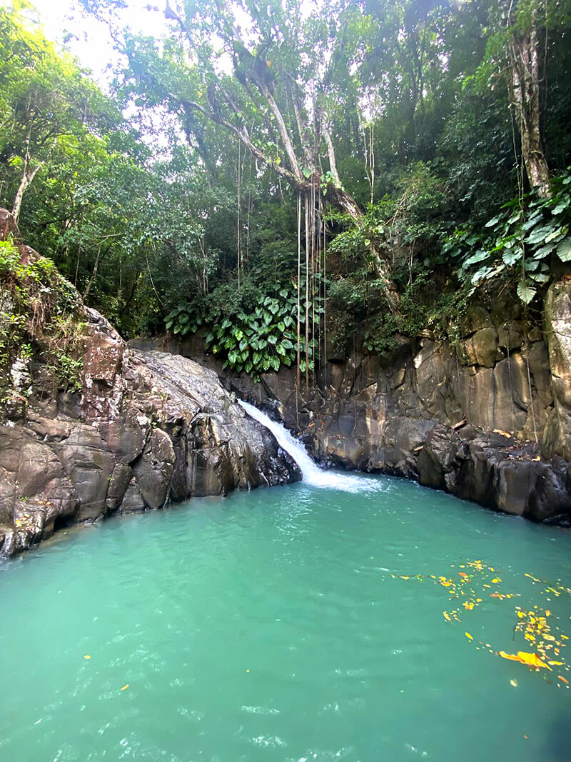 2026-voyage-guadeloupe-18