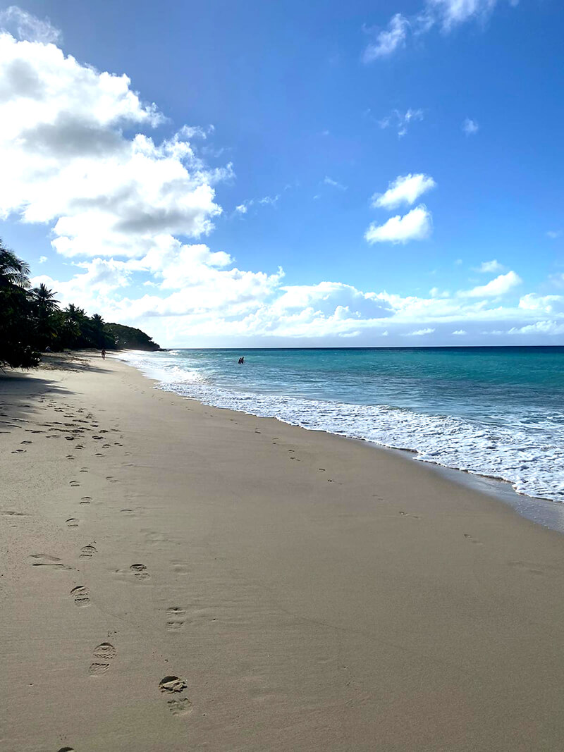 2026-voyage-guadeloupe-22