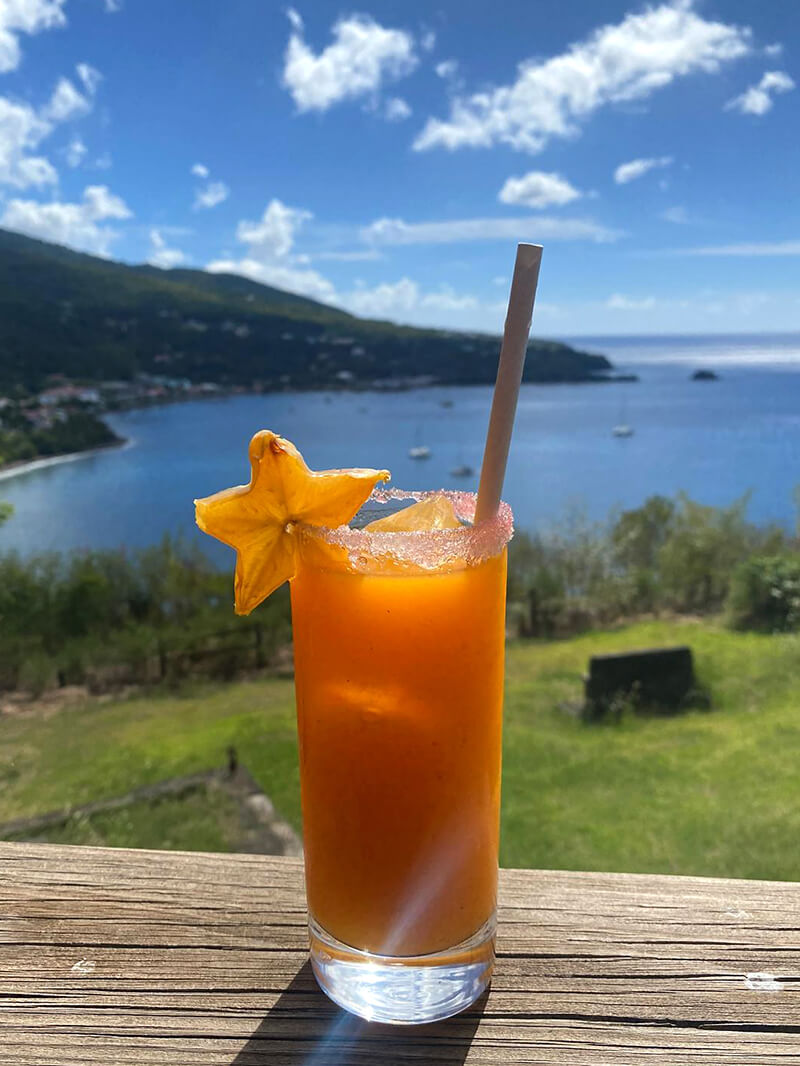 2026-voyage-guadeloupe-28