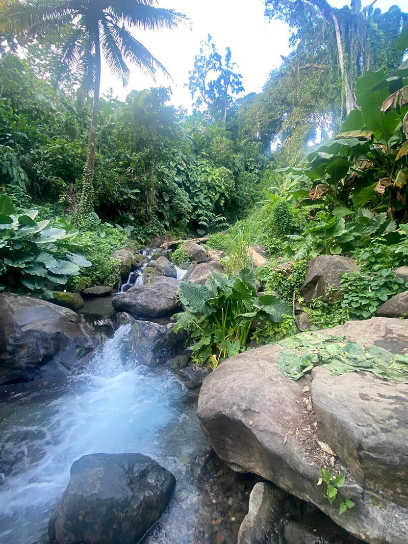 2026-voyage-guadeloupe-31