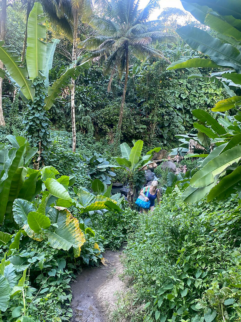 2026-voyage-guadeloupe-39